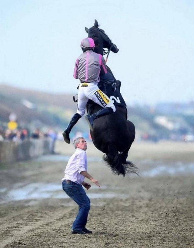 Right Moment (40 pics)
