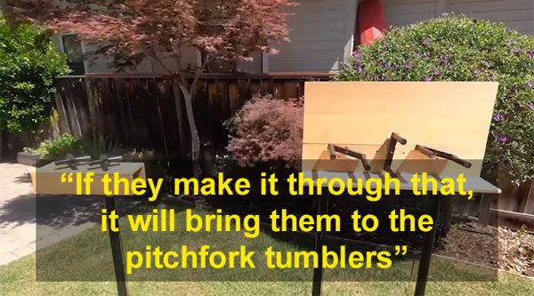 This Guy Built An Attraction For Squirrels (31 pics)