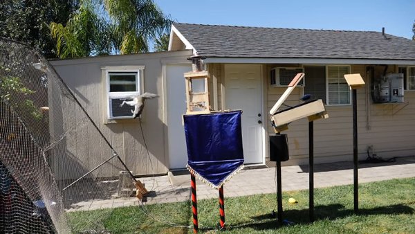 This Guy Built An Attraction For Squirrels (31 pics)