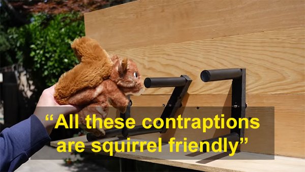 This Guy Built An Attraction For Squirrels (31 pics)