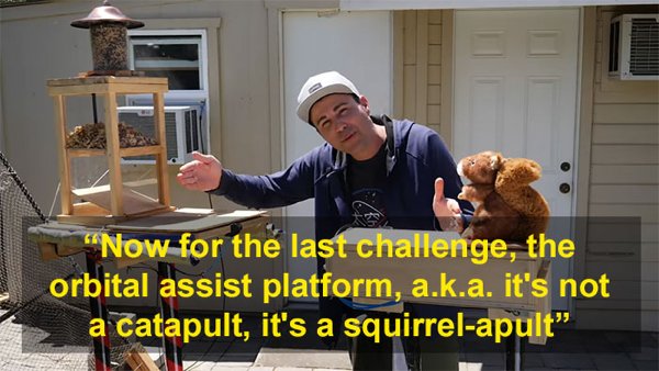 This Guy Built An Attraction For Squirrels (31 pics)