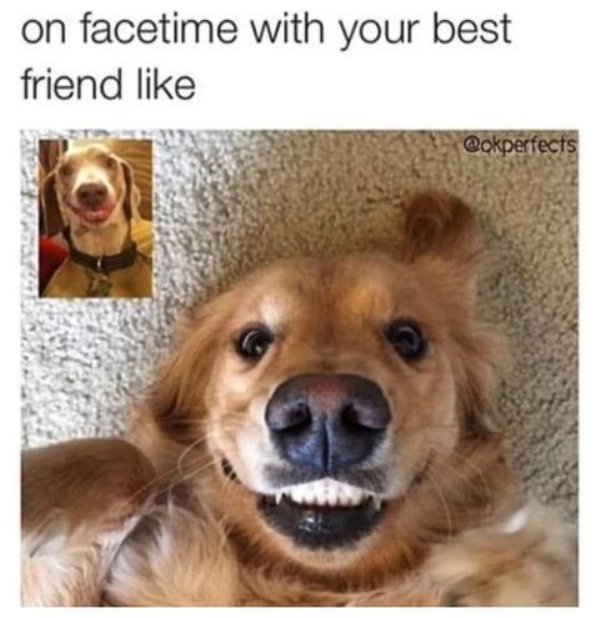 Best Friends Memes (26 pics)