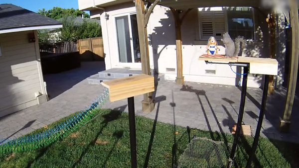 This Guy Built An Attraction For Squirrels (31 pics)