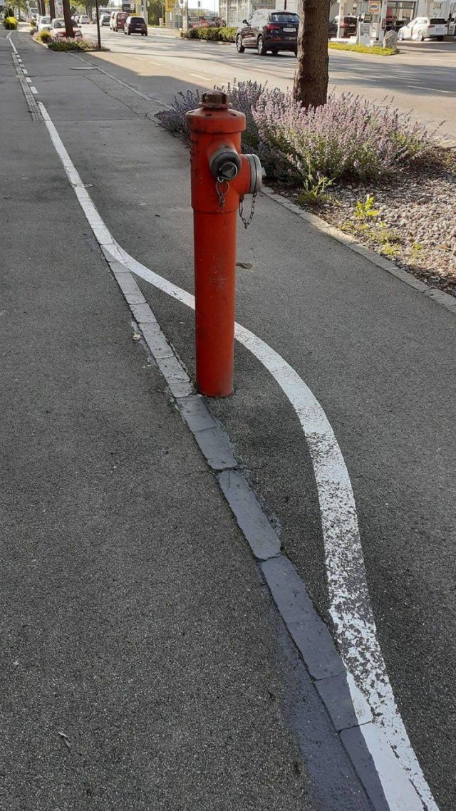 Almost Nailed It (59 pics)