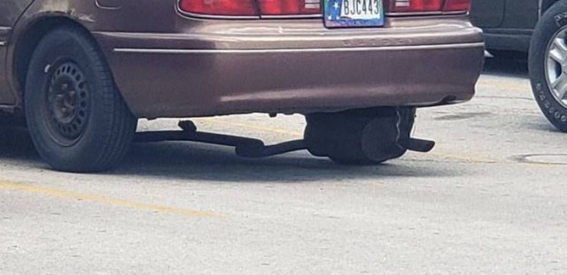 Almost Nailed It (59 pics)