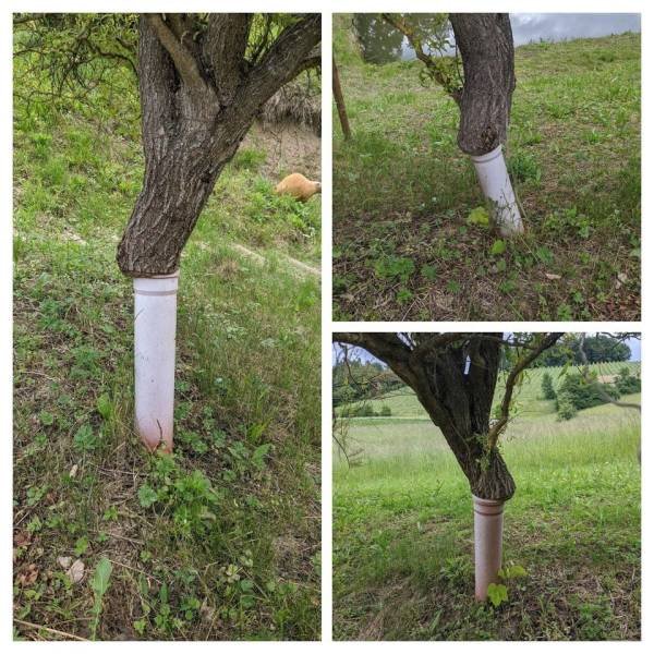 Acid Picdump. Part 2 (94 pics)