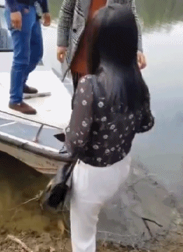 Acid Gifdump, June 5 (25 gifs)