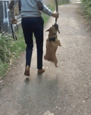 Acid Gifdump, June 5 (25 gifs)