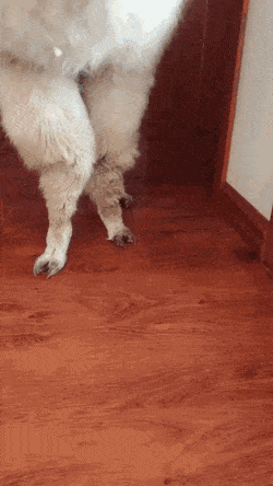 Acid Gifdump, June 5 (25 gifs)