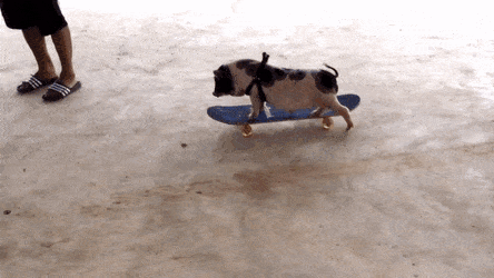 Acid Gifdump, June 5 (25 gifs)