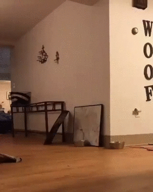 Acid Gifdump, June 5 (25 gifs)