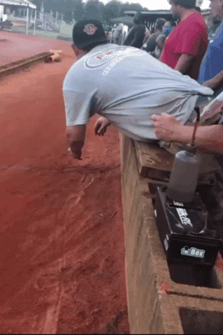 Acid Gifdump, June 5 (25 gifs)