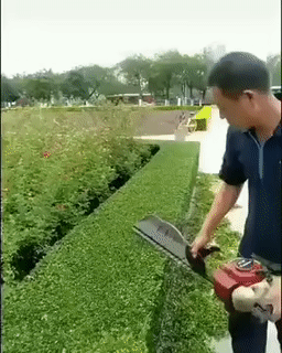 Acid Gifdump, June 5 (25 gifs)