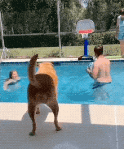Wins And Fails (15 gifs)