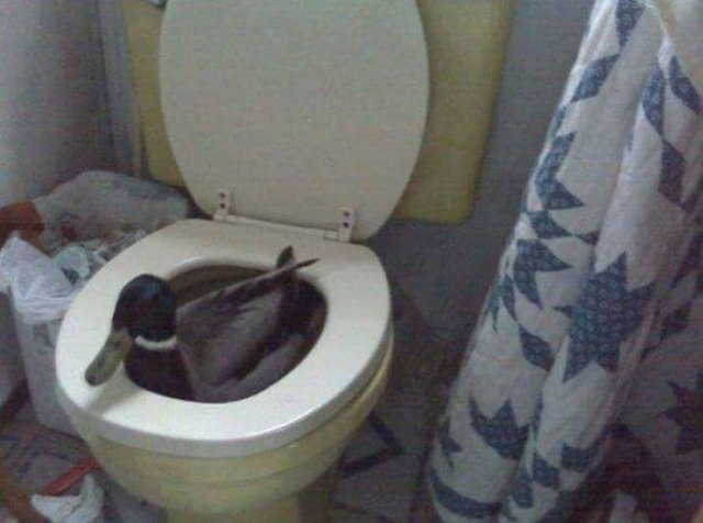 Acid Picdump. Part 2 (96 pics)