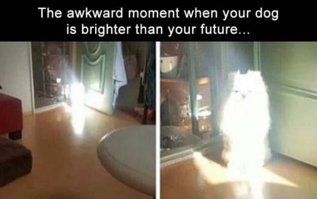 Acid Picdump. Part 2 (96 pics)