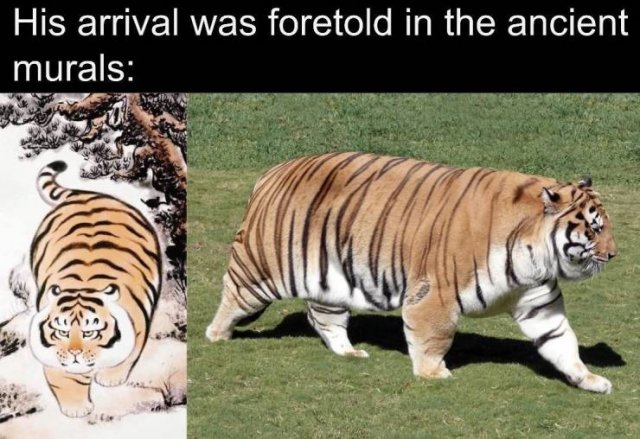Acid Picdump. Part 2 (96 pics)