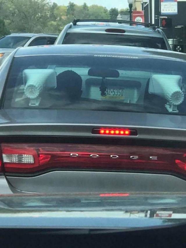 Acid Picdump. Part 2 (96 pics)