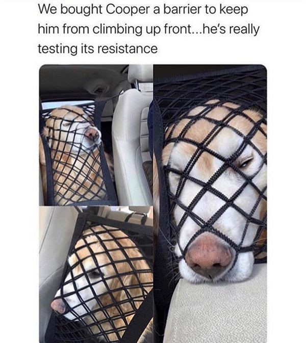 Random Funny Memes (34 pics)