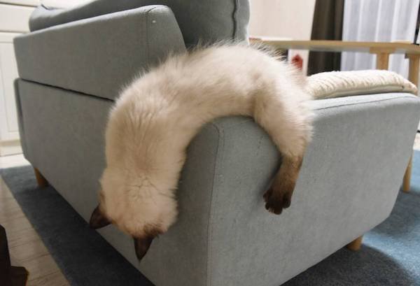 Bad Days Happen (34 pics)