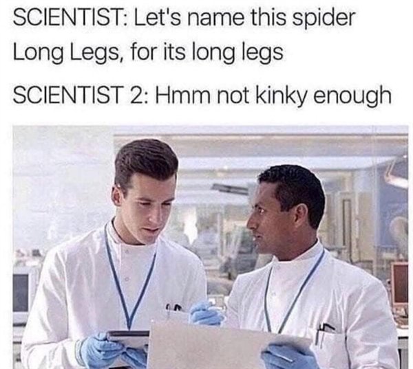 Random Funny Memes (34 pics)
