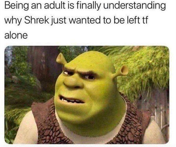 Random Funny Memes (34 pics)
