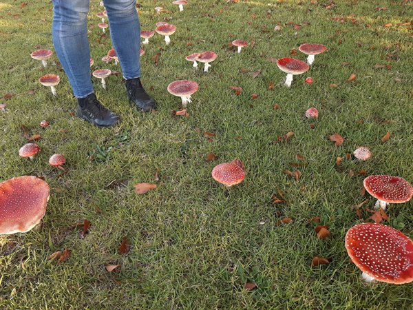Awesome Things (27 pics)