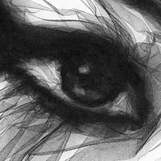 Portraits Created With An Iron And Netting (29 pics)