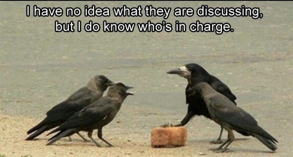 Random Funny Memes (34 pics)