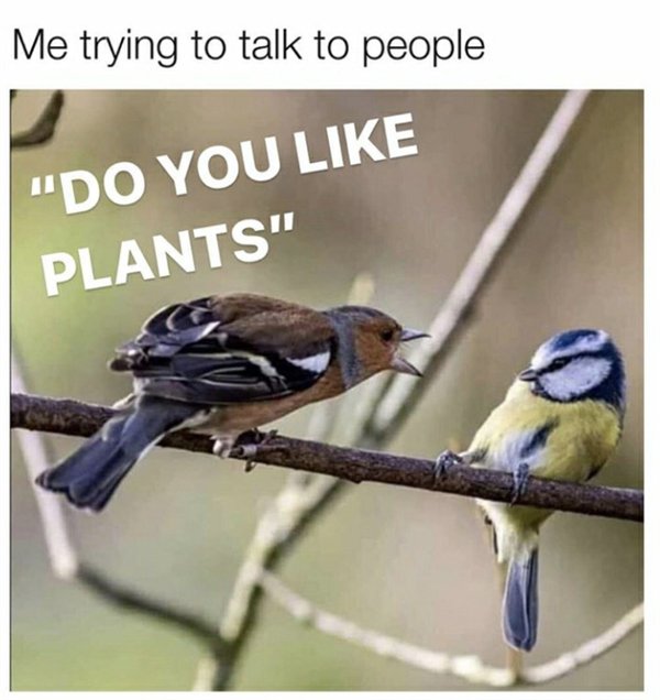 Random Funny Memes (34 pics)