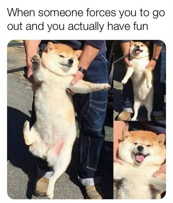 Random Funny Memes (34 pics)