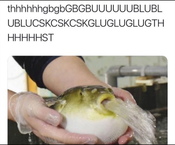 Random Funny Memes (34 pics)