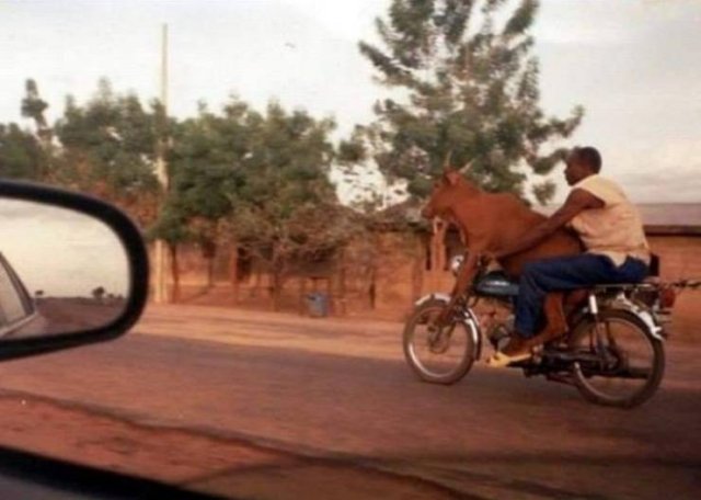 Acid Picdump. Part 1 (96 pics)