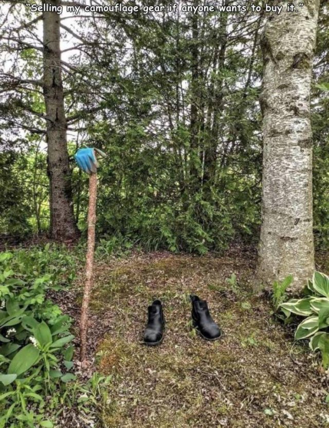 Acid Picdump. Part 1 (96 pics)