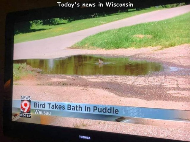 Acid Picdump. Part 1 (96 pics)