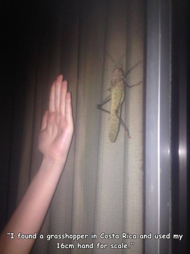 Acid Picdump. Part 1 (96 pics)