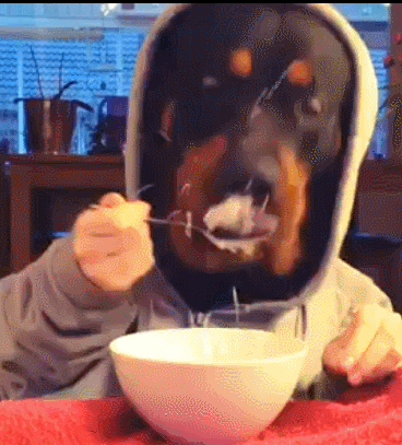 Acid Gifdump, June 8 (25 gifs)