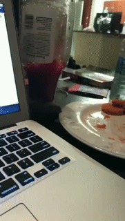 Acid Gifdump, June 8 (25 gifs)