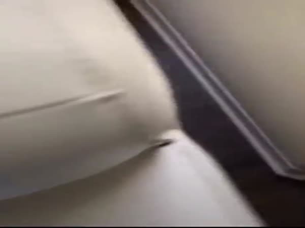 Sneak 100