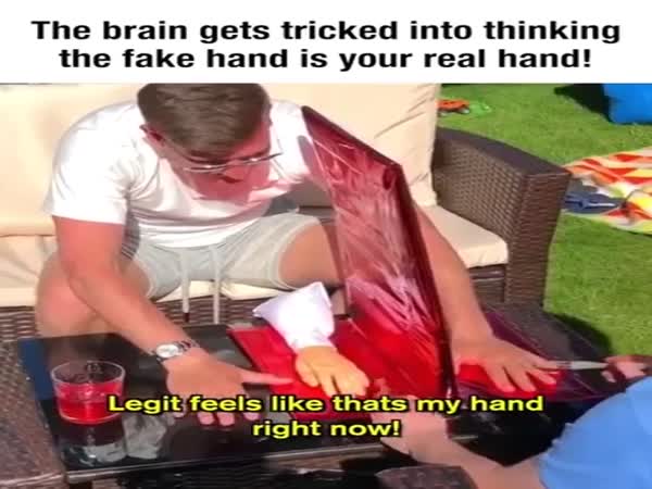 It Can Trick Your Brain