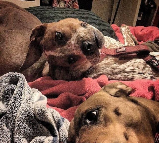 Look Twice (45 pics)