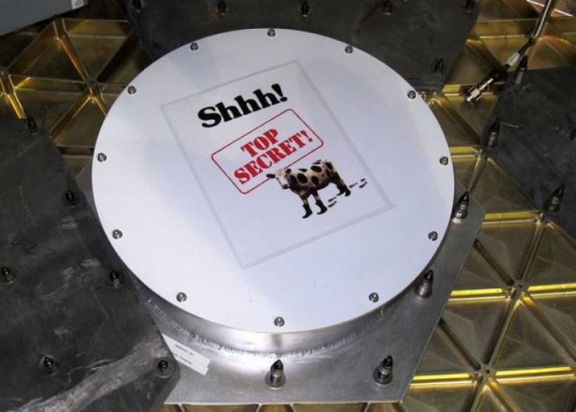 Things That Have Been Sent To Space (17 pics)