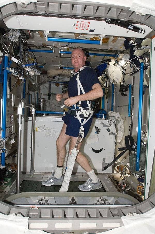 Things That Have Been Sent To Space (17 pics)