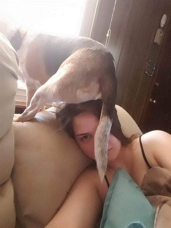 Dirty Humor (37 pics)