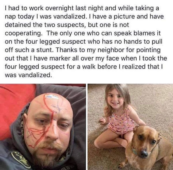 Stupid Kids (40 pics)