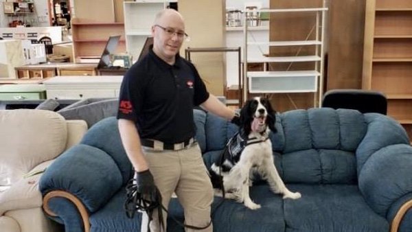 Dogs And Their Jobs (29 pics)