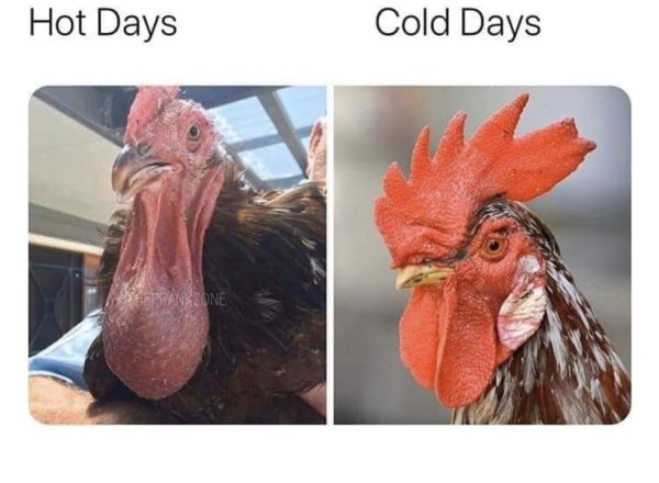 Dirty Humor (37 pics)