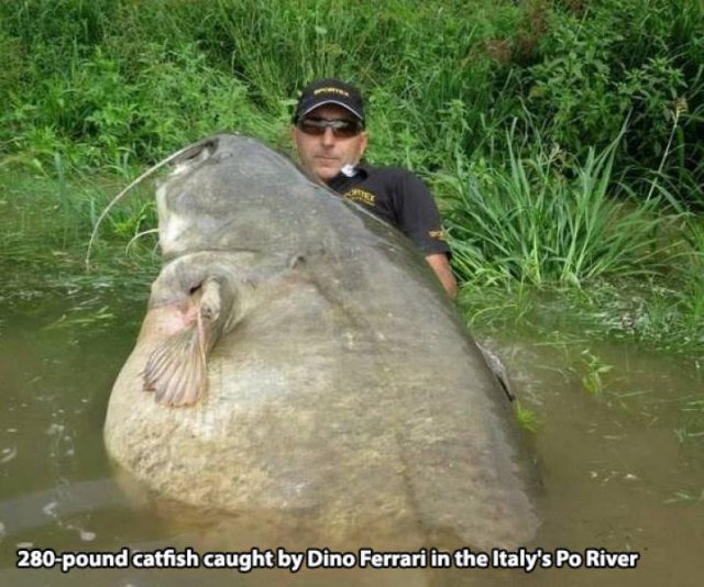 Acid Picdump. Part 2 (94 pics)