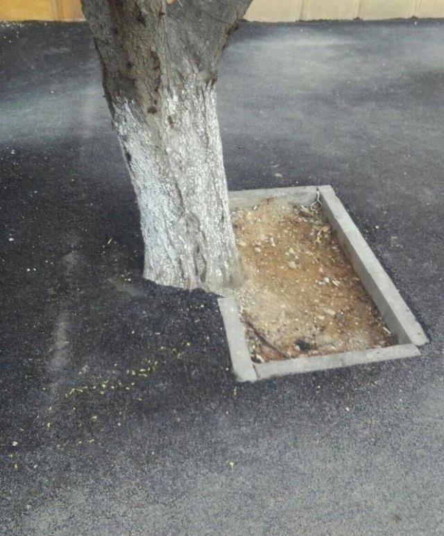 Acid Picdump. Part 1 (94 pics)