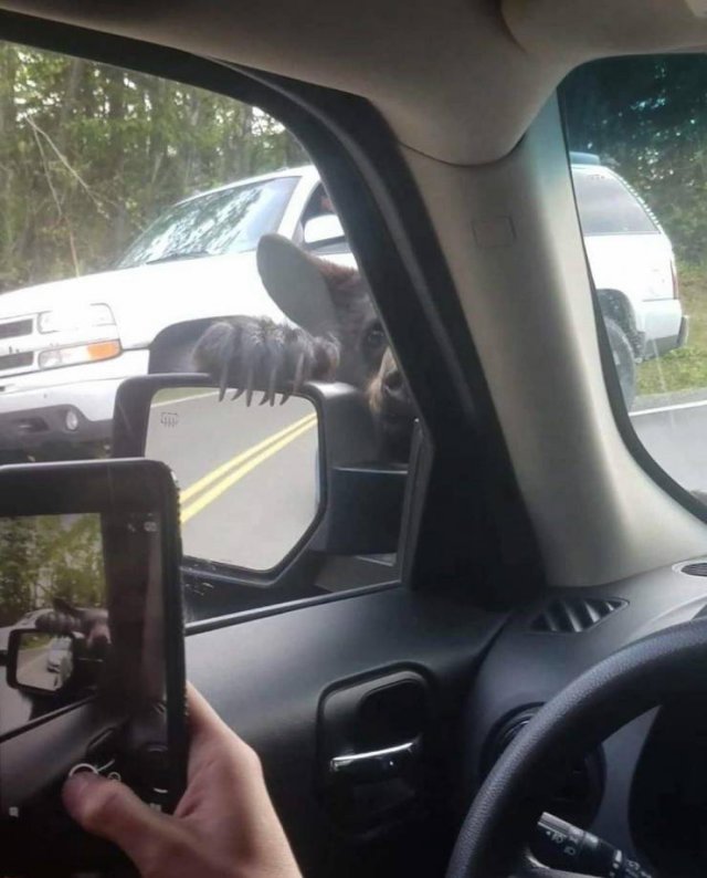 Acid Picdump. Part 1 (94 pics)